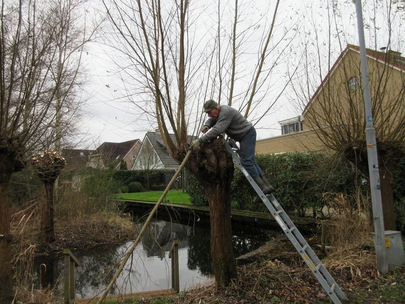 2020-01-04-helofytenfilter-uithoorn (12)